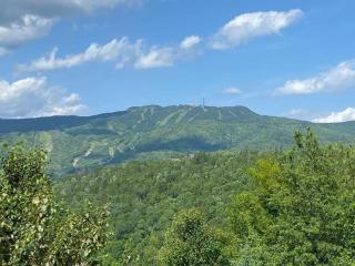 Alpine View Lodge - Cozy Private Chalet in Mont-Tremblant - 9