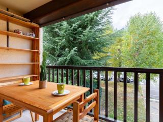 Studio 4 pers Saint Lary Village proche téléphérique - FR-1-296-533 - 3