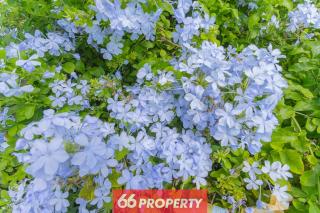 S Villa 5BR Sunset Pool Villa on Super Hwy - 9