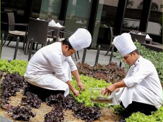 Pullman New Delhi Aerocity - 3