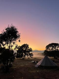 Mansfield Glamping - Adults-Only Luxury Bell Tents with Mt Buller Views - 7