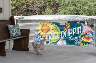 Day Drippin' Farm-stay - 1