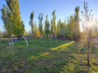 La casita de Don Emilio - 9