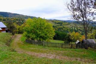 Cabana Virful Muntelui - 2