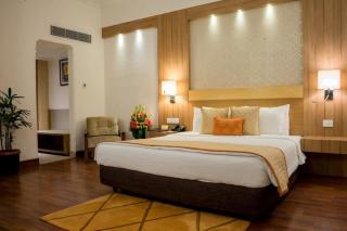 Hotel The Tulip international Near Delhi Airport,A block Road no 4 street no 10 mahipalpur new delhi - 7