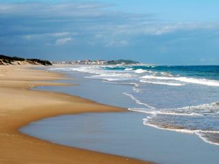 Paradise Beach Cottage #18 - 1