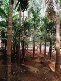 Sadguru Krupa Cottage - 0