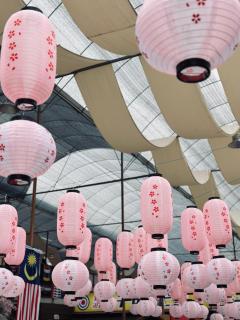 The Cozy Wooden Stay #PalasHorizon#5-7 minutes to Kea Farm - 3