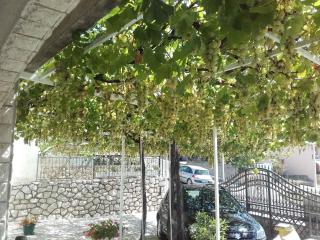 Apartment Crikvenica 6 - 8