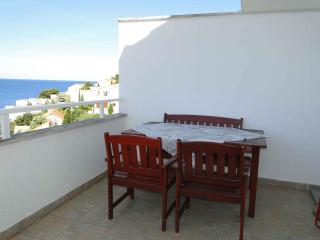 Apartment in Primosten - Sibenik Riviera 36600 - 1