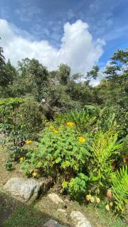 Casa campestre Finca Renacer - 8