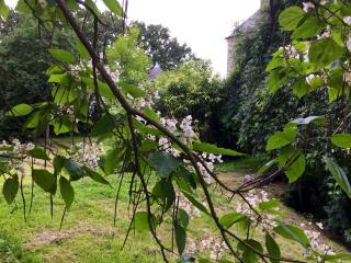 Séjour romantique ou professionnel au Château isigny, Charme et feu de cheminée - 2