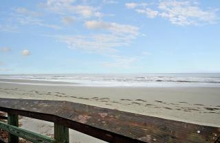 WS4315: 4315 Windswept - 3