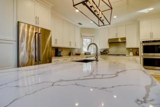 GI700: 700 Glossy Ibis - 8