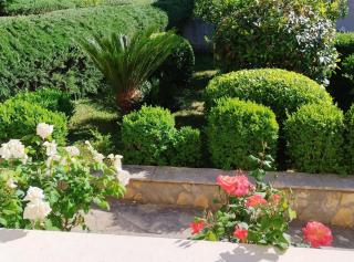 Apartments Antonio - Trogir - 5