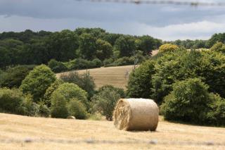 Gîte La Poterie - 2