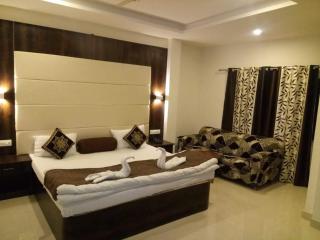 Hotel Krishna Palace - 5