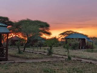 Ikoma Safari Lodge - 3