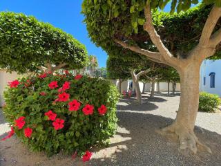Holiday home in Roquetas de Mar by the sea - 1