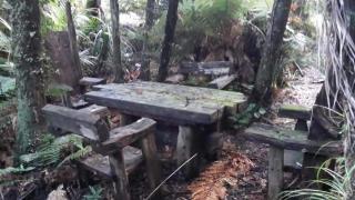 Nature at its Best - 6