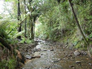 Nature at its Best - 2