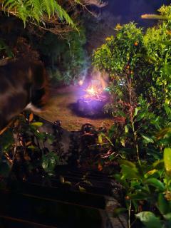 Nature at its Best - 0