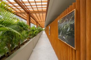 Sore Escape Tumbak Bayuh by Betterplace - 4