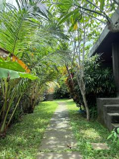 Willy Homestay - 7