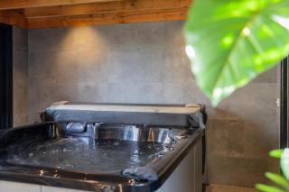 De Friese Wouden - 5