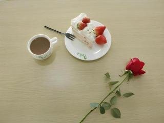 Vatica Tianjin Jinghai Bus Station Home World Plaza Hotel - 6