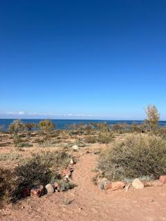 Oimo Tash Yurt Camp - 5