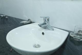 Hoa Hải Đường 602TM1 - 5