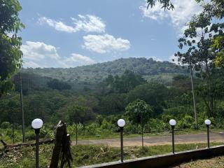 Rock Hill - Pachakkad Home Stay - 8