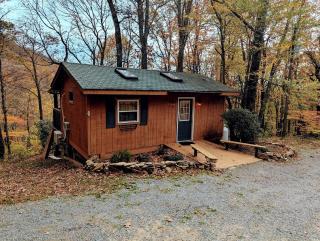Secluded Mountain Cabin Retreat with Scenic Woodland Views near Black Mountain, NC - Montreat - 1