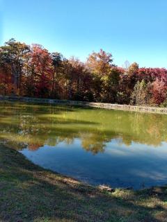 Peaceful Bunkhouse Surrounded by Nature near Graysville, Tennessee - 2