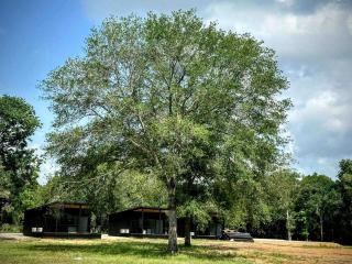 Relaxing Tiny Home Retreat with Pool, Goats & Firepits near Houston in Hempstead, Texas - 0