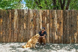 Modern Unique Space Cabin at an Incredible Glamping and RV Park with Fantastic Amenities in Ranchos de Taos, New Mexico - 2