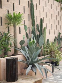 The Chan Chan Home Seaside Phan Thiet - 7