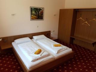 Hotel - Restaurant Sophienaue - Eisenach - 5