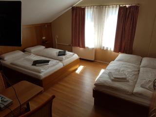Hotel - Restaurant Sophienaue - Eisenach - 3