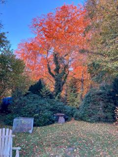 Ruhiges Ferienhaus direkt am Wald - 8