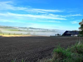 Pleasant cottage in a secluded area - 3