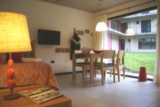 El Oasis Apart Hotel - San Martín de los Andes - 5