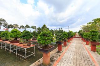 Sadec Bonsai Farmstay - 6