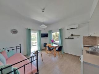 Dimitra's Pretty Apartment 4 klm away from Chora - 0