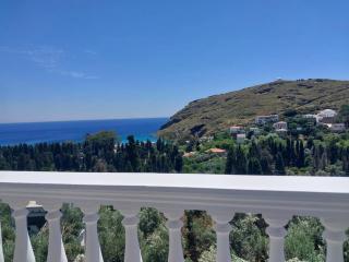 Dimitra's Pretty Apartment 4 klm away from Chora - 1