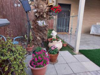 אצלנו בחצר - צימר למשפחות ולזוגות בדרום ים המלח - 2