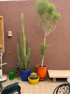 "LE 21", EXCLUSIVE LUXURY DUPLEX 400m FROM JEMAA EL FNA PLACE -HAMMAM-JACUZZI-KOUTOUBIA VIEW-ROOF TERRACE -SPEED WIFI - 6