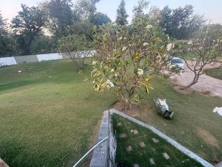 Farm stay yalgaar - 3