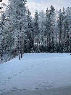 Brand new Arctic snowstar apartment - 9